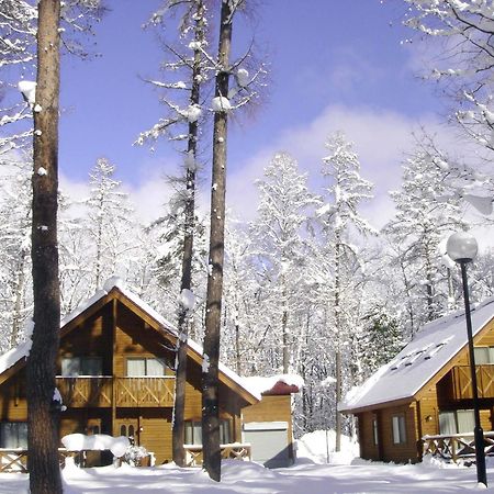 Log Cottage Epoch Hakuba Kültér fotó