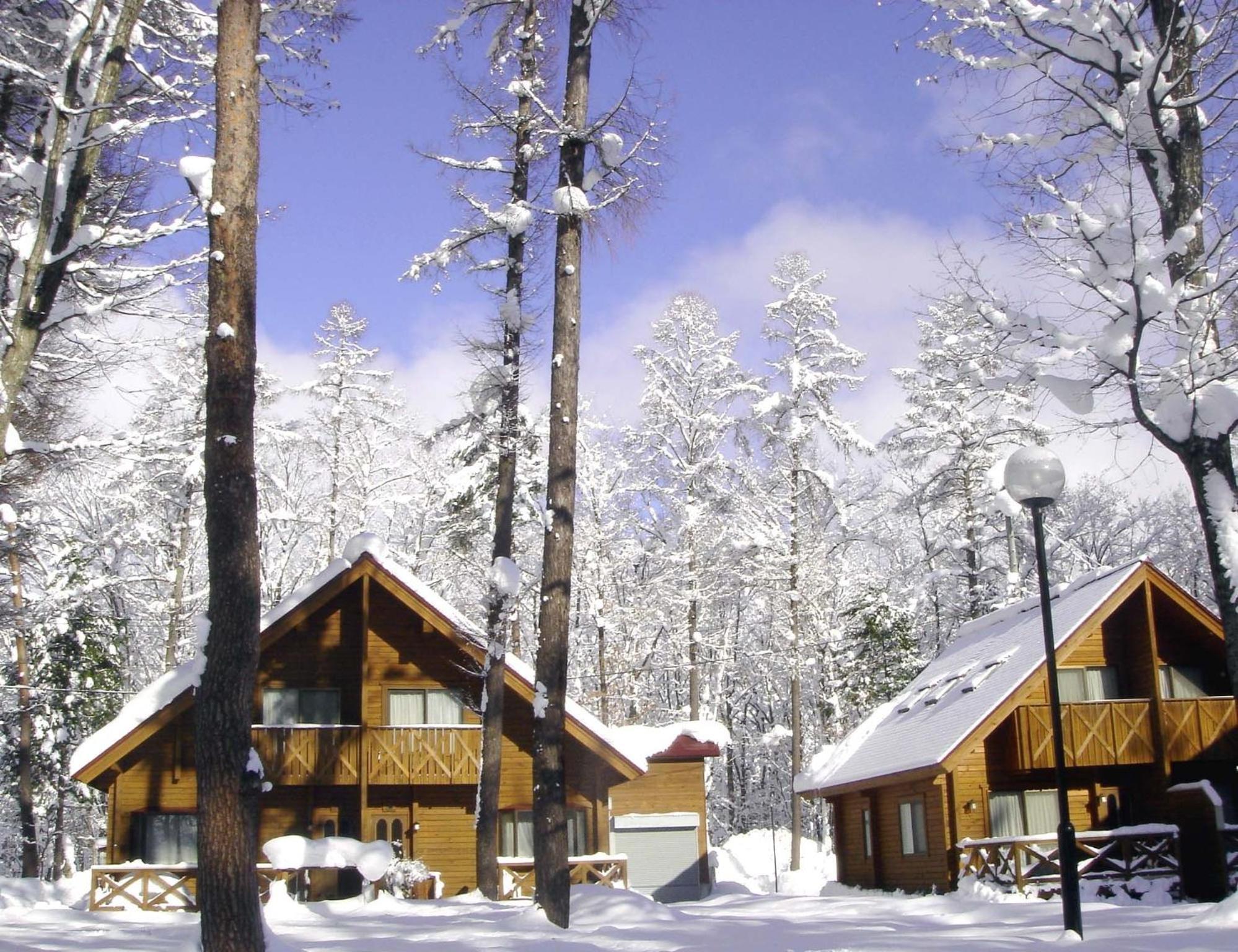 Log Cottage Epoch Hakuba Kültér fotó