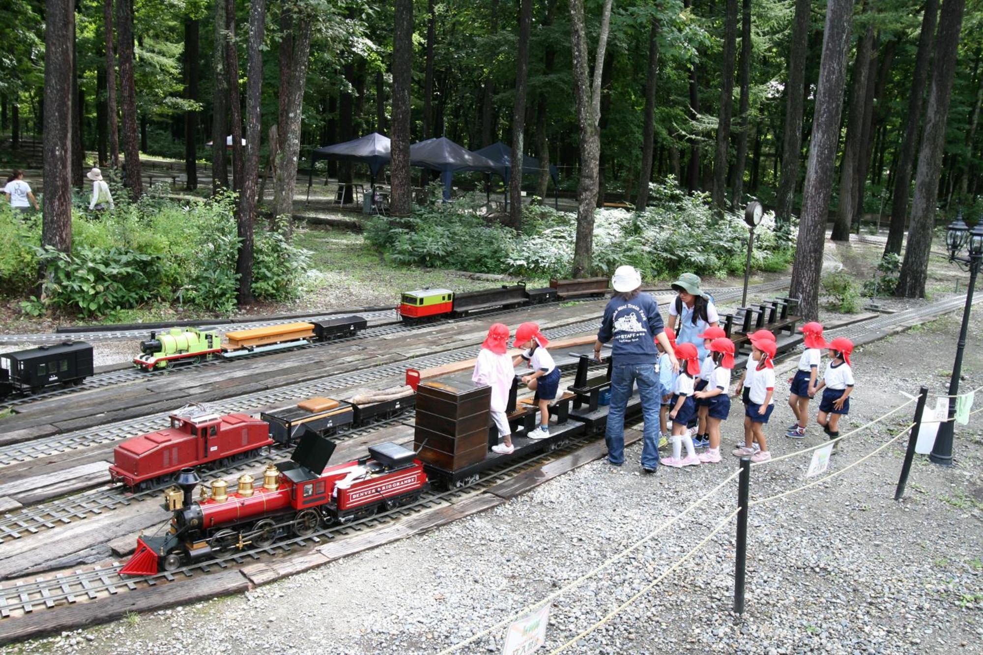 Log Cottage Epoch Hakuba Kültér fotó